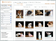 screen shot of featurepics page of photos