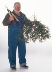 man with pruning shears and tree branch