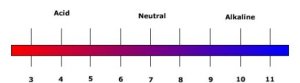 pH level chart