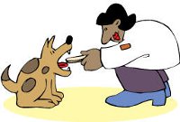 person feeding dog