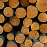 Why Quality Timber is Essential for Long-Lasting Home Construction